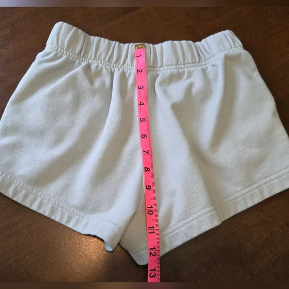 The North Face Gray Shorts - Picture 9 of 9